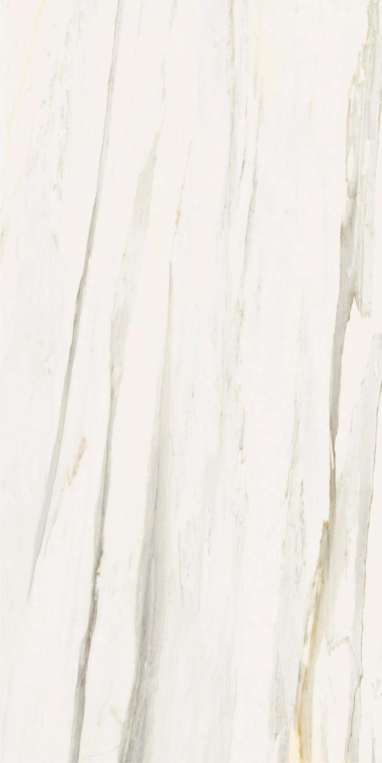 Керамогранит 610010002840 Stellaris Carrara Ivory Nat Ret 80x160