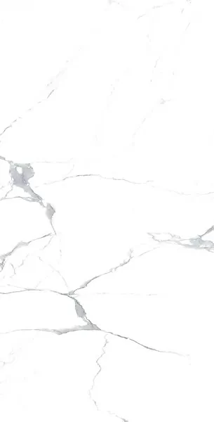 Керамогранит MEGNUS STATURIO Glossy 60x120