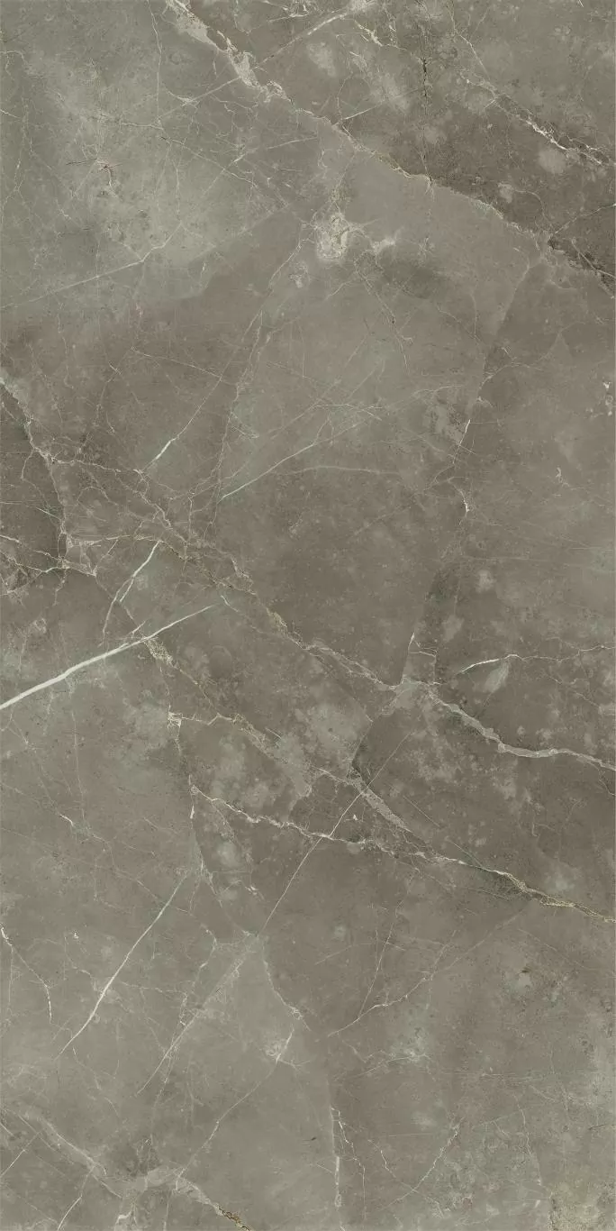 Керамогранит 610015000688 Stellaris Tuscania Grey Lux Ret 80x160