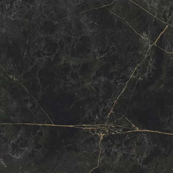 Керамогранит Granite SANDRA Black Olive / Гранит Сандра черно-оливковый LLR 60x60