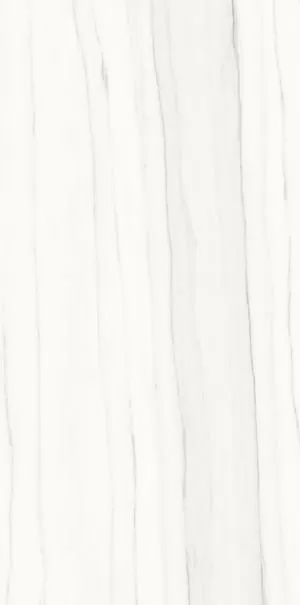 Керамогранит PL612517 Zebrino Bianco Luc 120x60