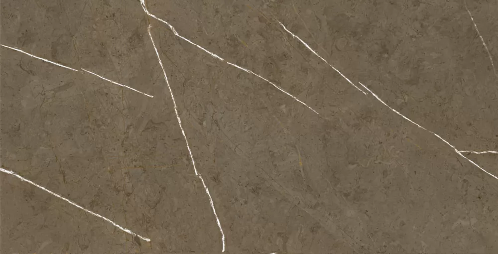 Керамогранит BHM-5009 Stone Brown 3D ink-soft glaze 60x120