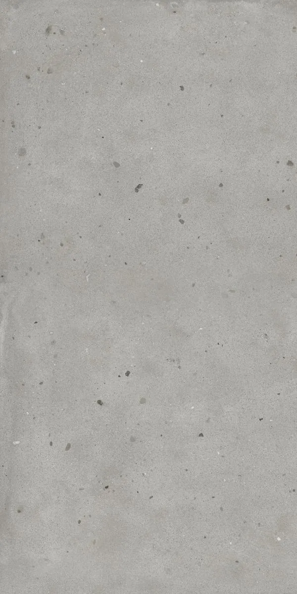 Керамогранит 610010005694 Avantgarde Silver Ret 60x120