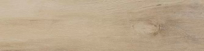 Керамогранит Leccio Gentile 10x40