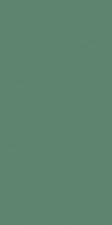 Плитка Genesis Green Matt 30x60