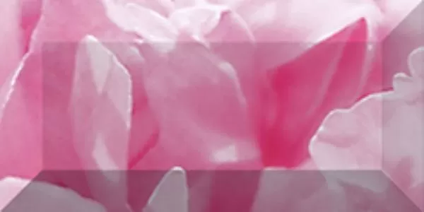 Плитка Бордюр рельефный Peony br1020D281-1 20х10