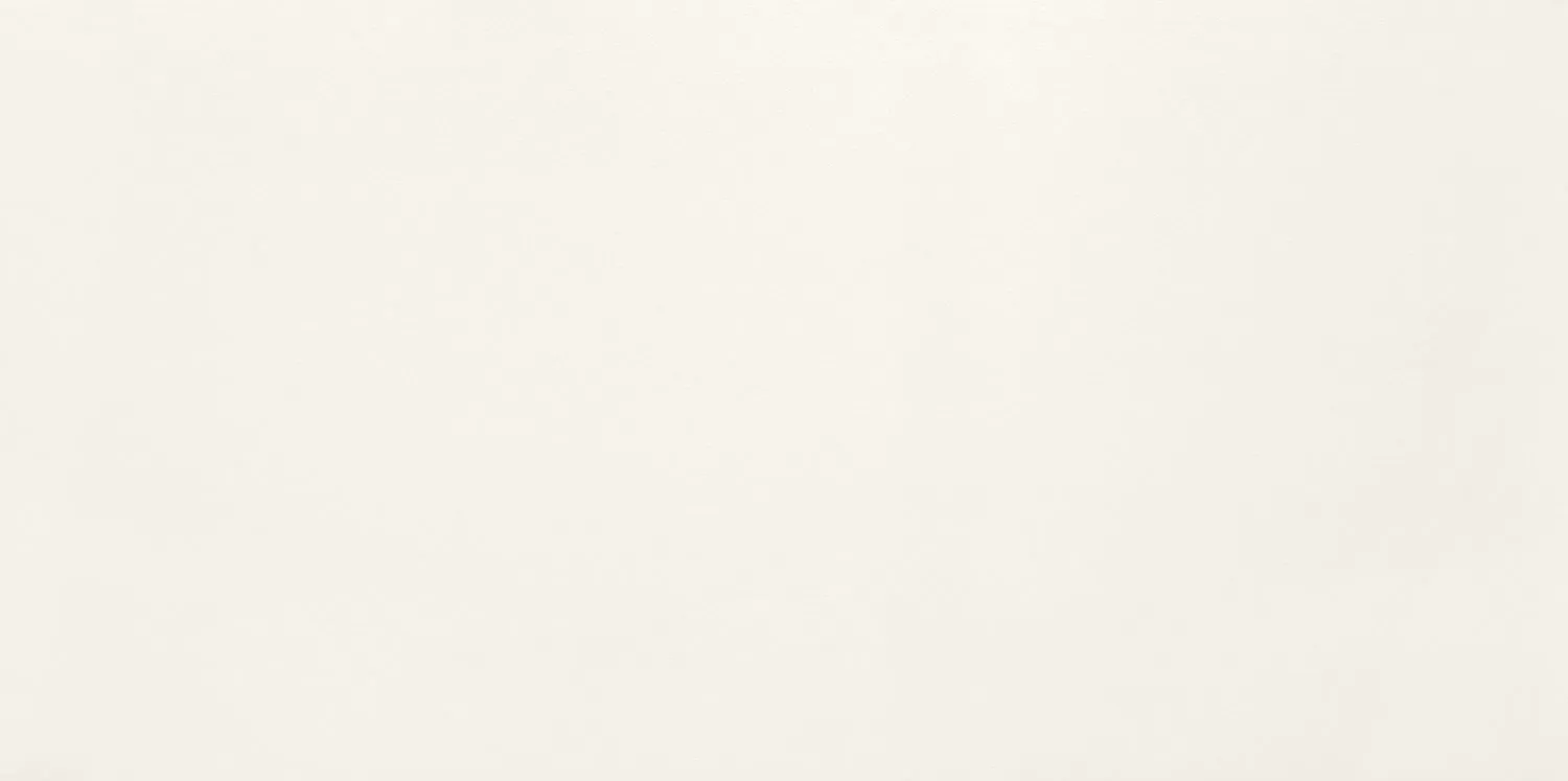 Плитка W-Touch white 29.8x59.8