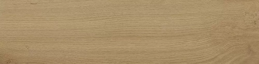 Керамогранит Tregui Natural 8х33