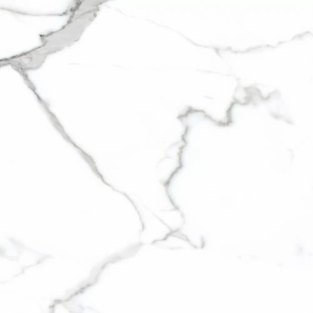 Керамогранит PR107 Salvatore Polished 600x600