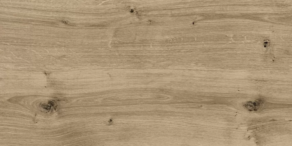 Керамогранит C-WS4O152D Woodhouse темно-бежевый 29,7х59,8