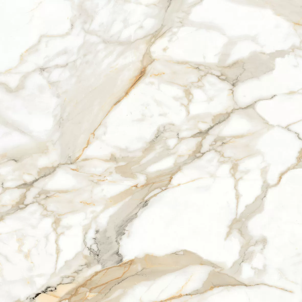 Керамогранит Calacatta Superior Белый Полированный 80х80