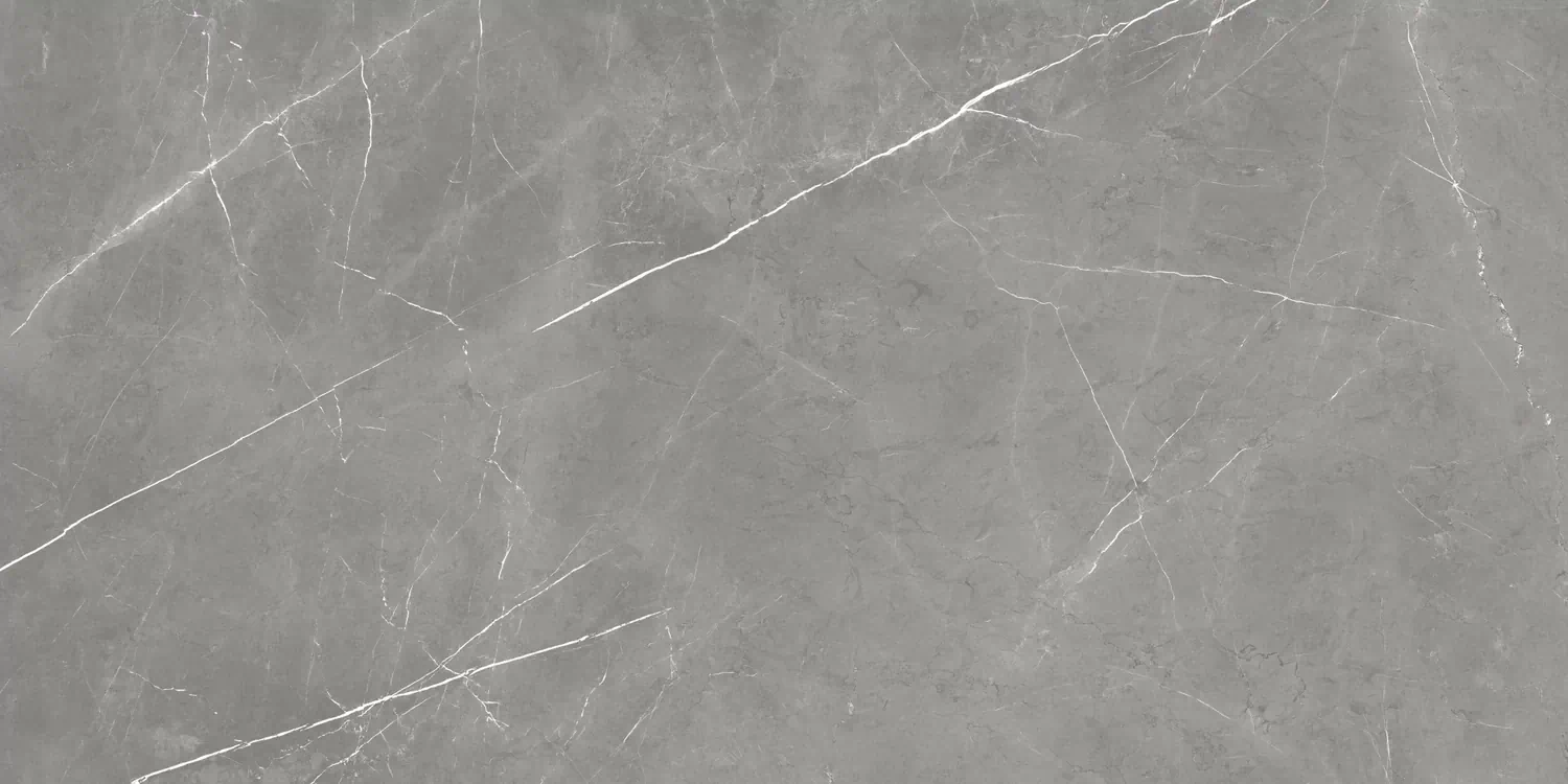 Керамогранит 610015000657 Forte dei Marmi Elegant Grey Rett Cer 60x120