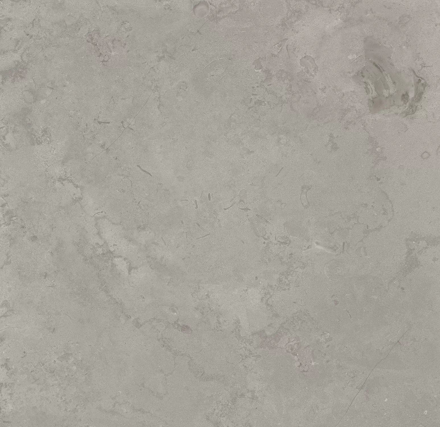 Керамогранит DD640900R Про Лаймстоун серый натуральный обрезной R10 60х60