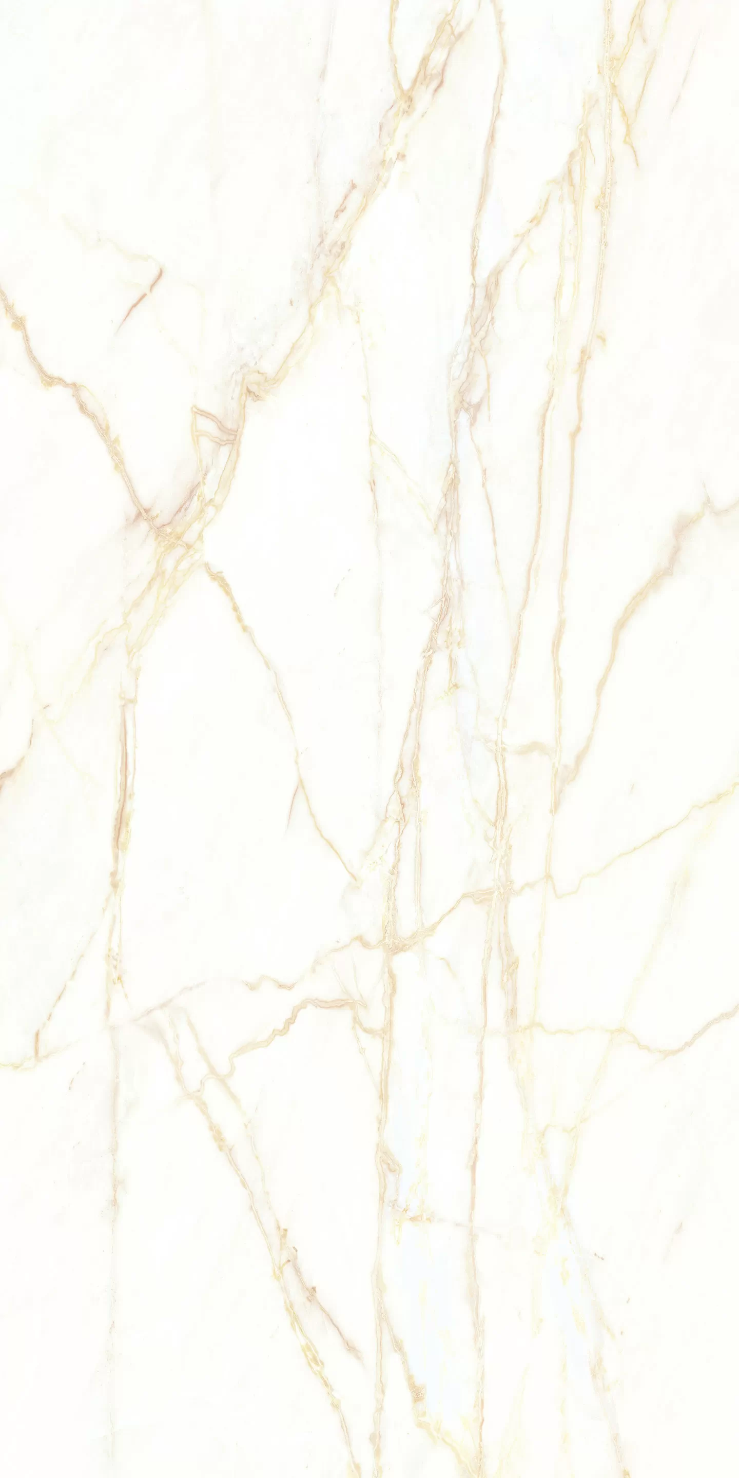Керамогранит 769423 Chimera Empatia Bianco Mat Ret 6mm 120x240