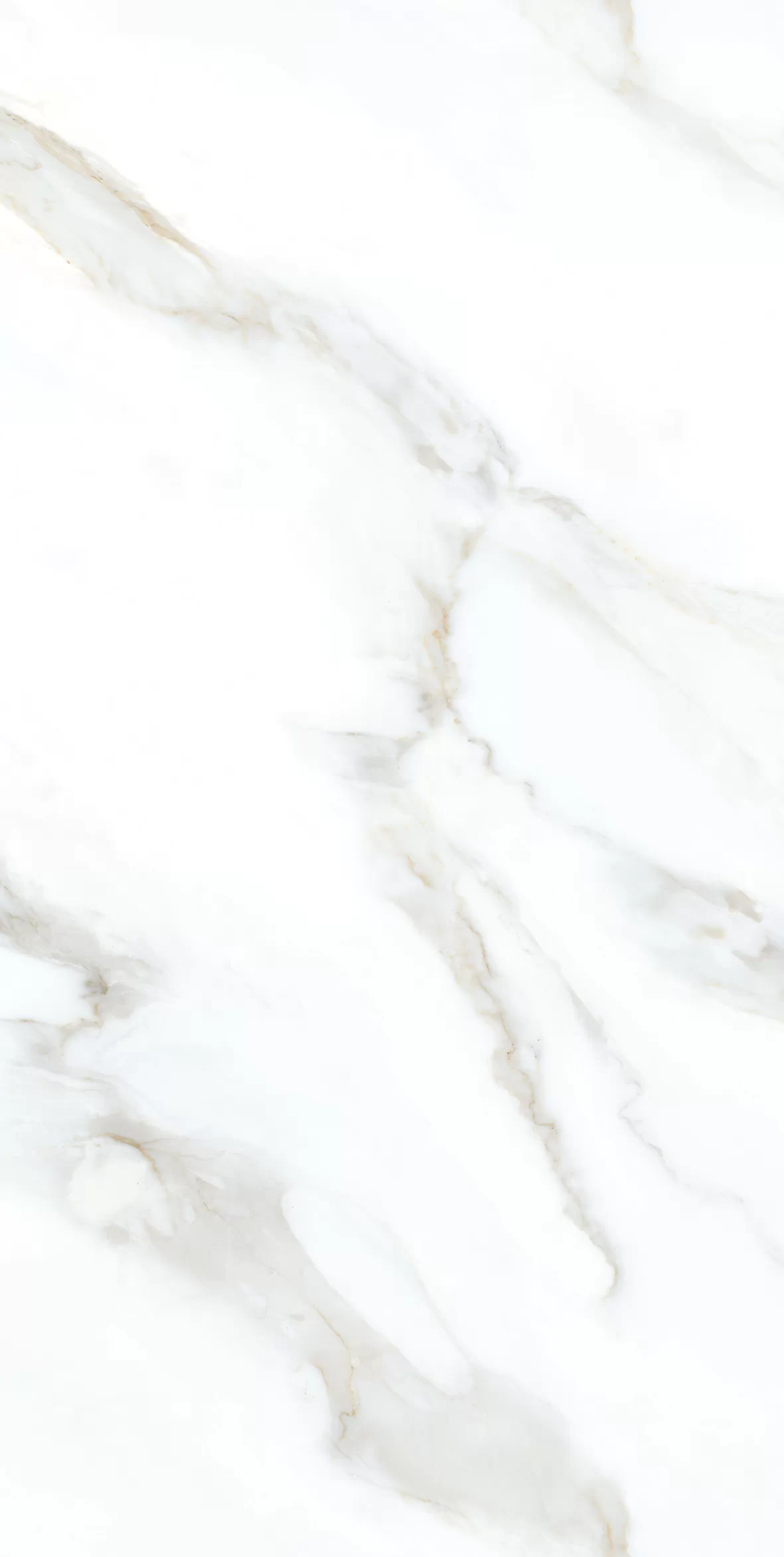 Керамогранит Clear White Grit Granula 60x120