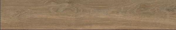 Керамогранит Oxford Brown Mat 20x120