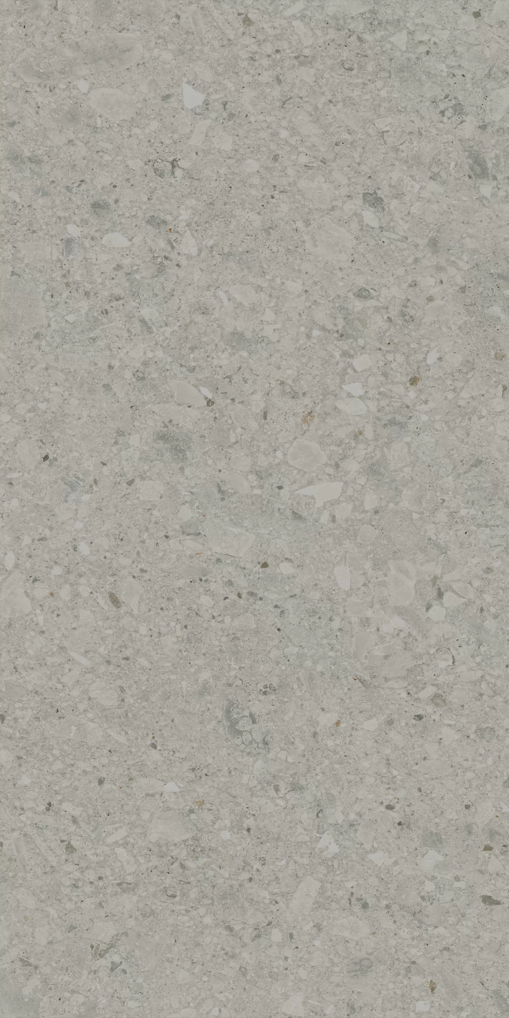 Керамогранит DD591400R Чеппо ди Гре серый матовый обрезной 119,5x238,5x1,1