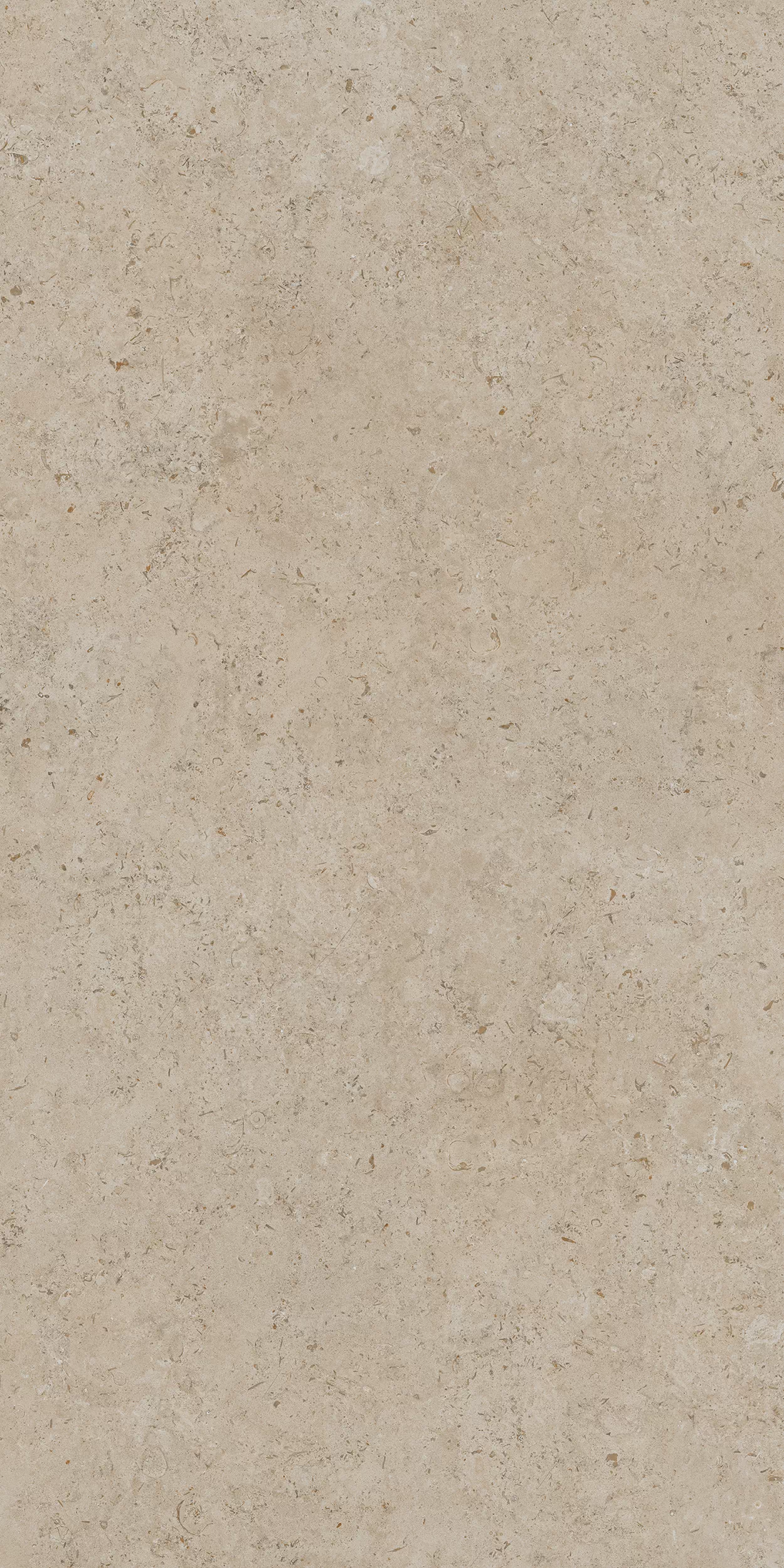 Керамогранит DD590500R Про Лаймстоун АТ бежевый темный натуральный обрезной R10 119,5х238,5