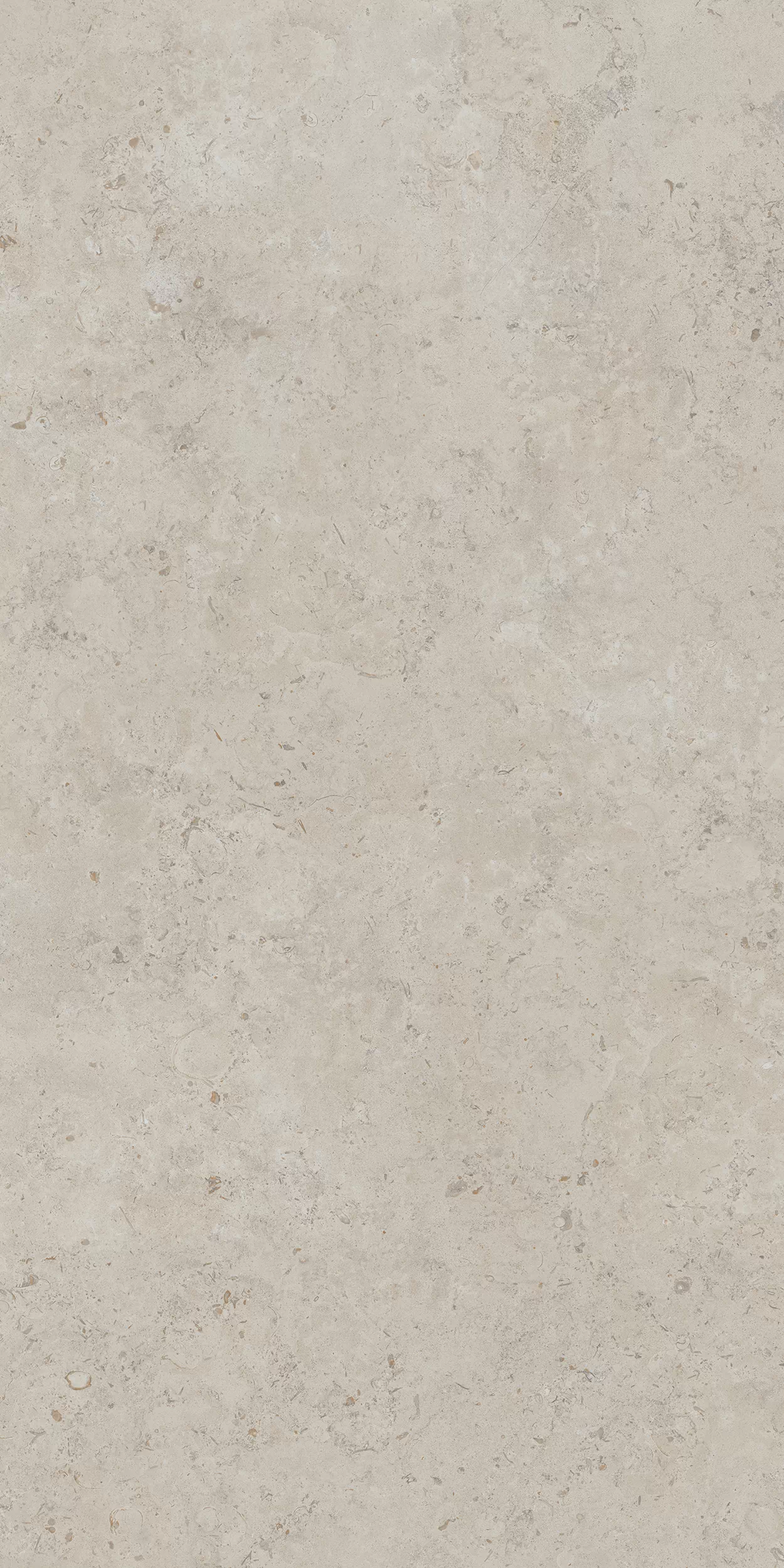 Керамогранит DD590400R Про Лаймстоун АТ бежевый натуральный обрезной R10 119,5х238,5