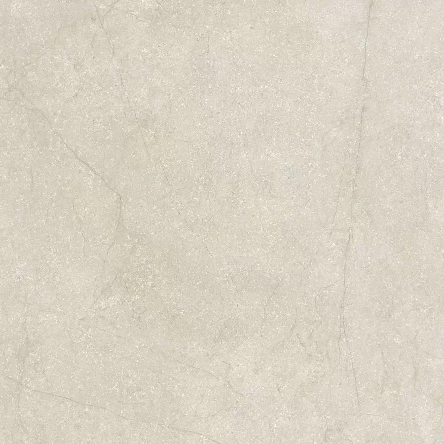 Керамогранит 778713 Stone Life Shell Matte Ret 6mm 120x120