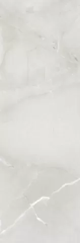 Плитка PASSION R90 ICE 30*90