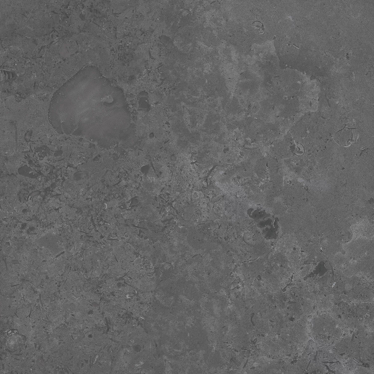 Керамогранит DD640820R Про Лаймстоун серый темный натуральный обрезной 60х60