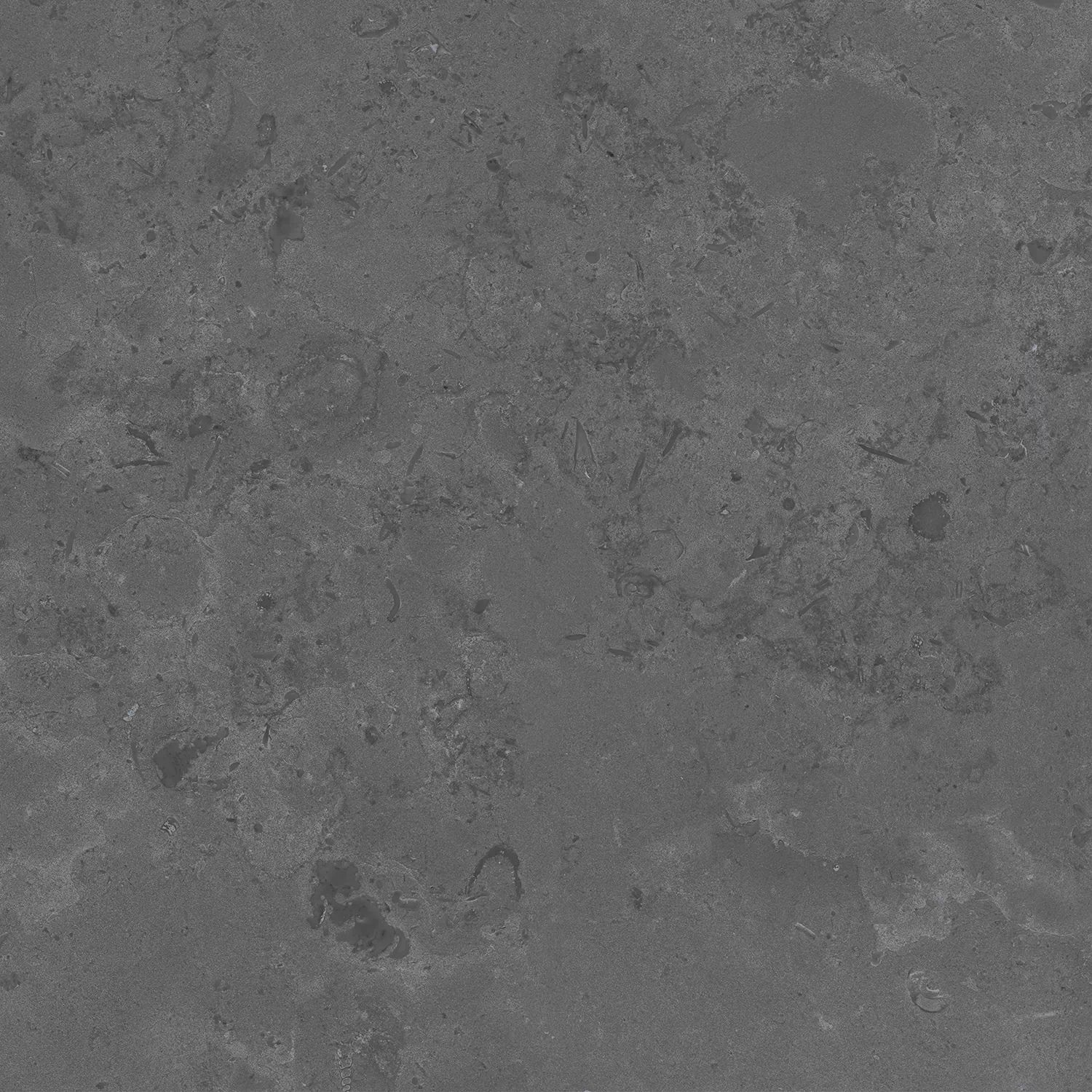 Керамогранит DD640820R Про Лаймстоун серый темный натуральный обрезной 60х60