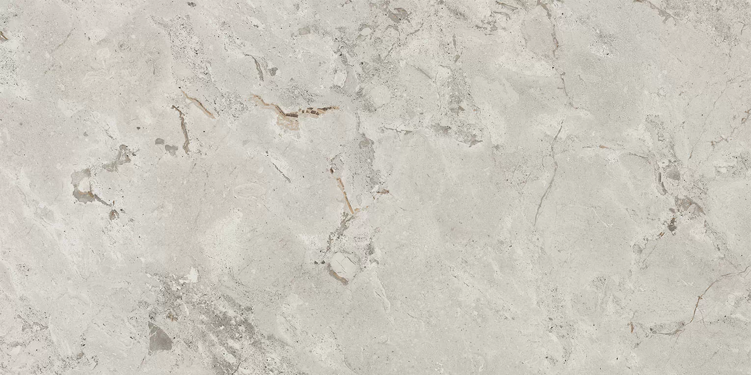 Керамогранит 93453 Karnis Silver Matt 60x120