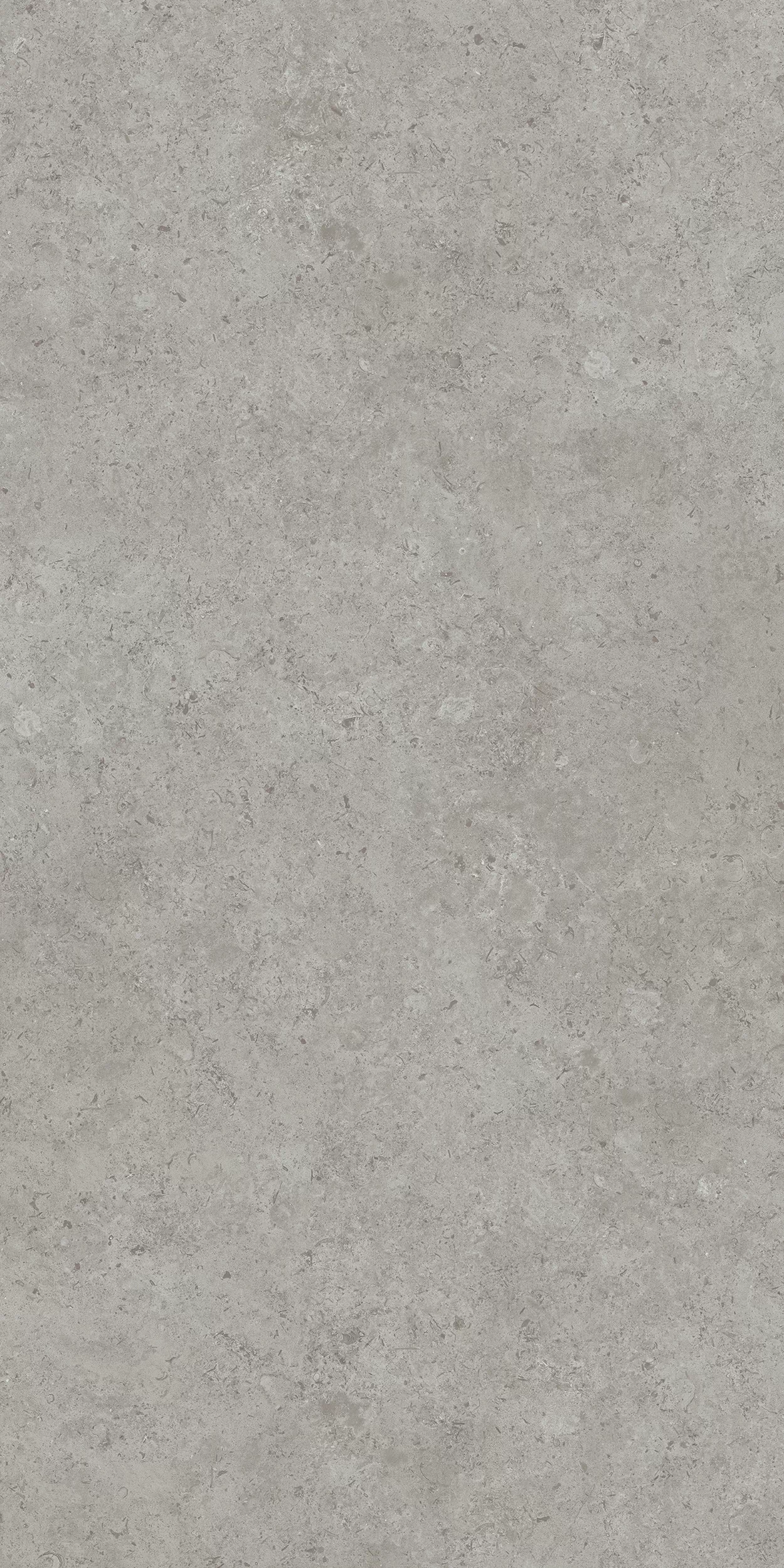 Керамогранит DD590600R Про Лаймстоун АТ серый натуральный обрезной R10 119,5х238,5