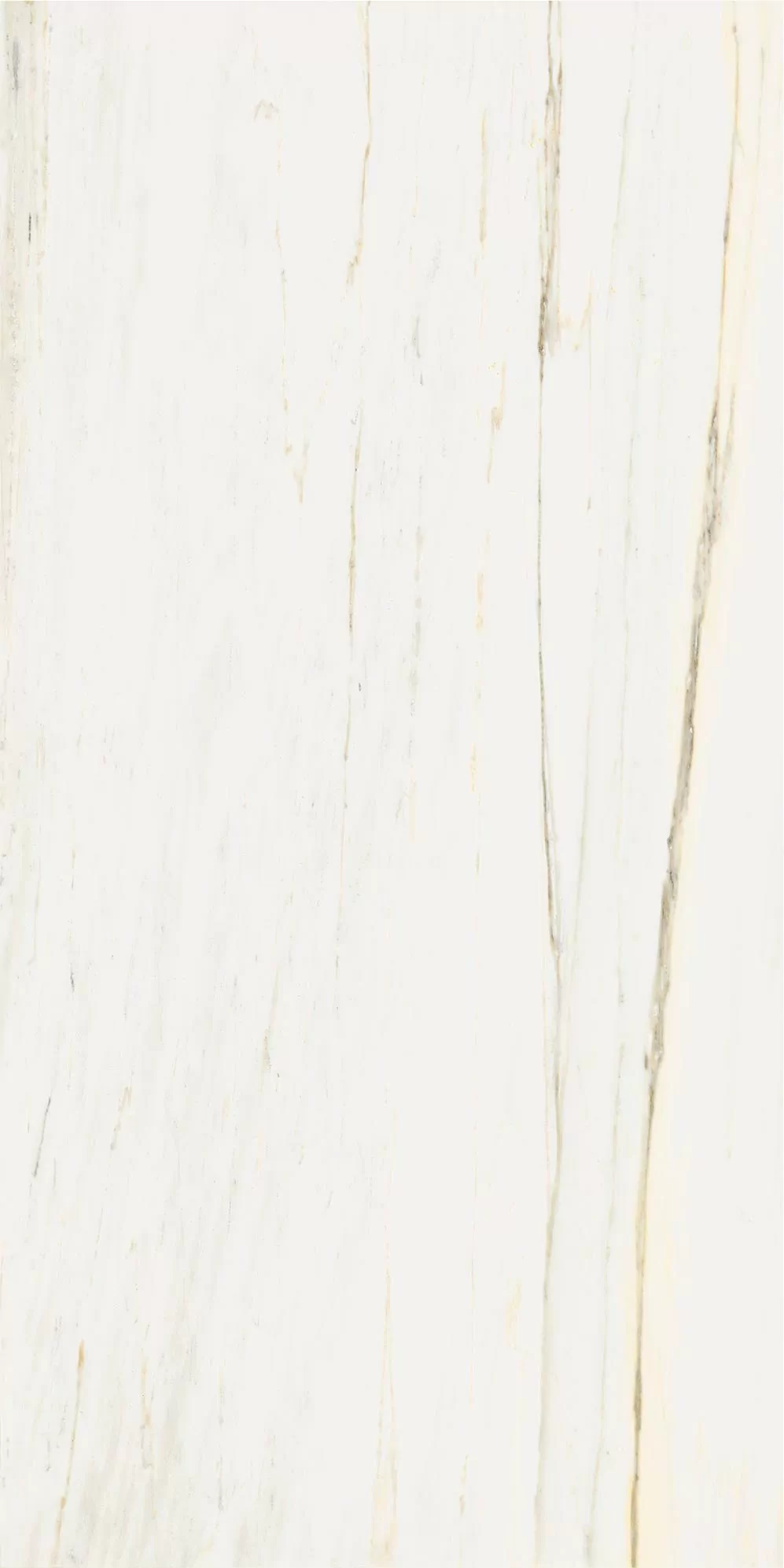 Керамогранит 610010002833 Stellaris Carrara Ivory Nat Ret 60x120