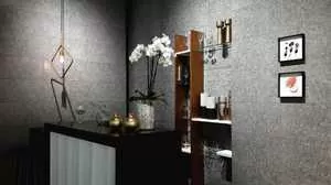 Плитка VARSOVIA BLANCO RECT 30x90