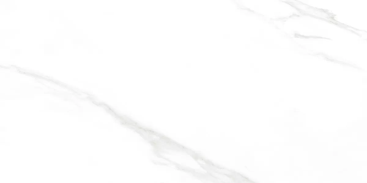 Керамогранит Carrara Excellent Silver Белый Матовый 60х120
