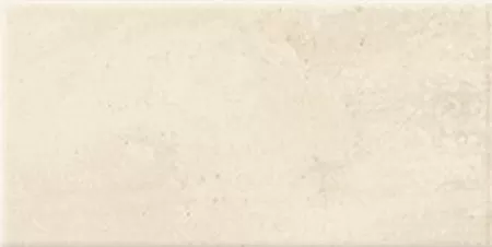 Плитка PT02376 Ravena Natural 10x20