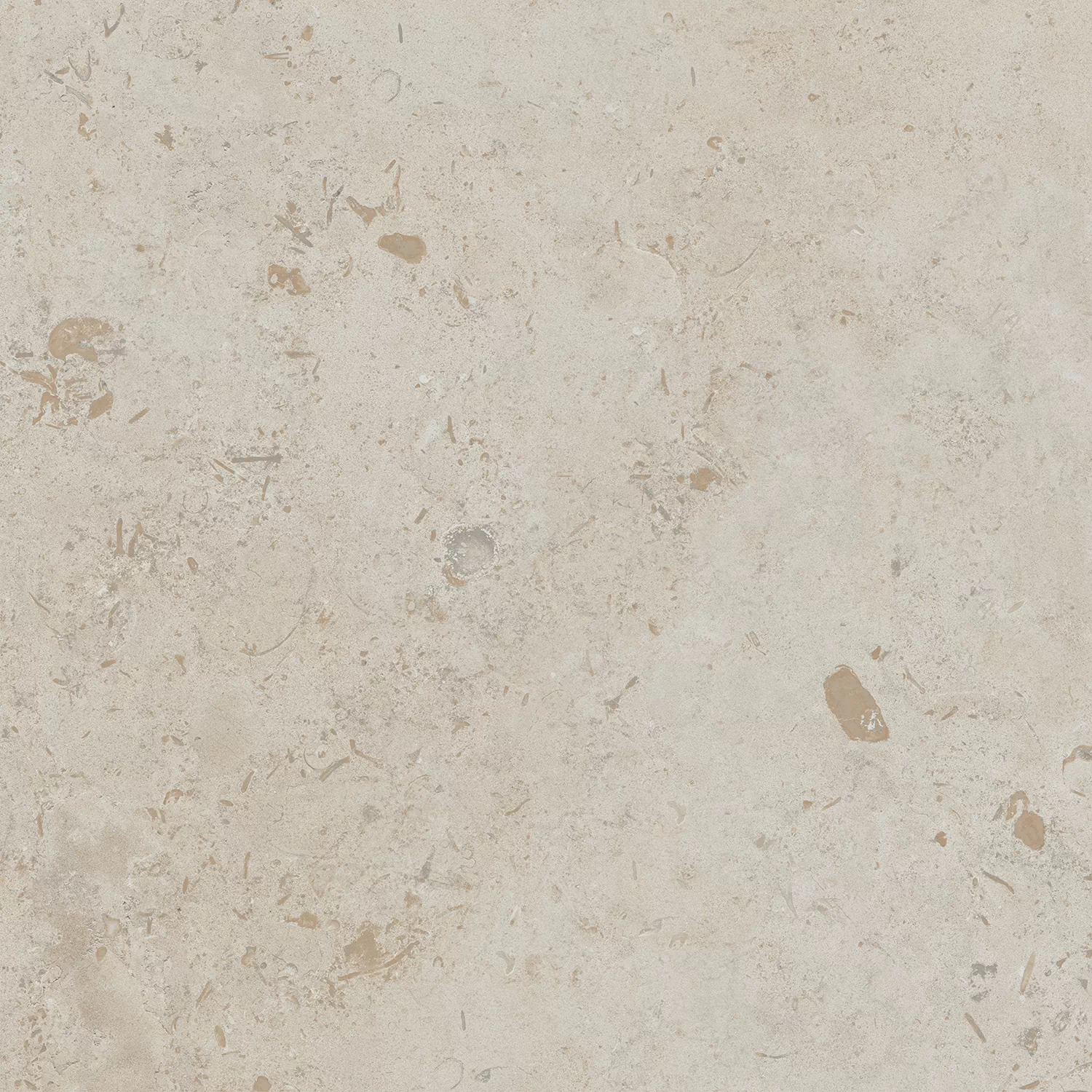 Керамогранит DD641120R Про Лаймстоун бежевый темный натуральный обрезной 60х60