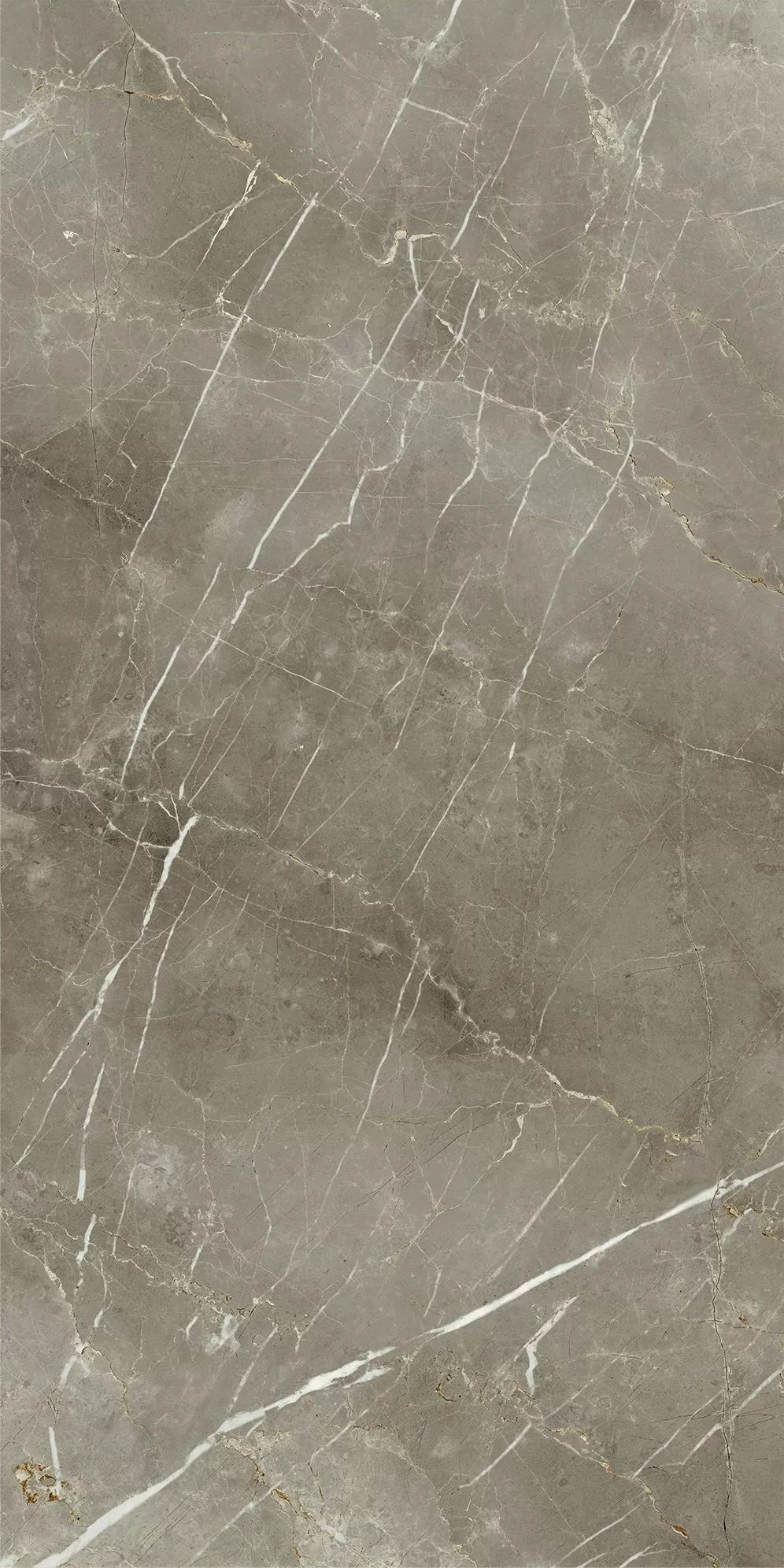 Керамогранит 610010002836 Stellaris Tuscania Grey Nat Ret 60x120