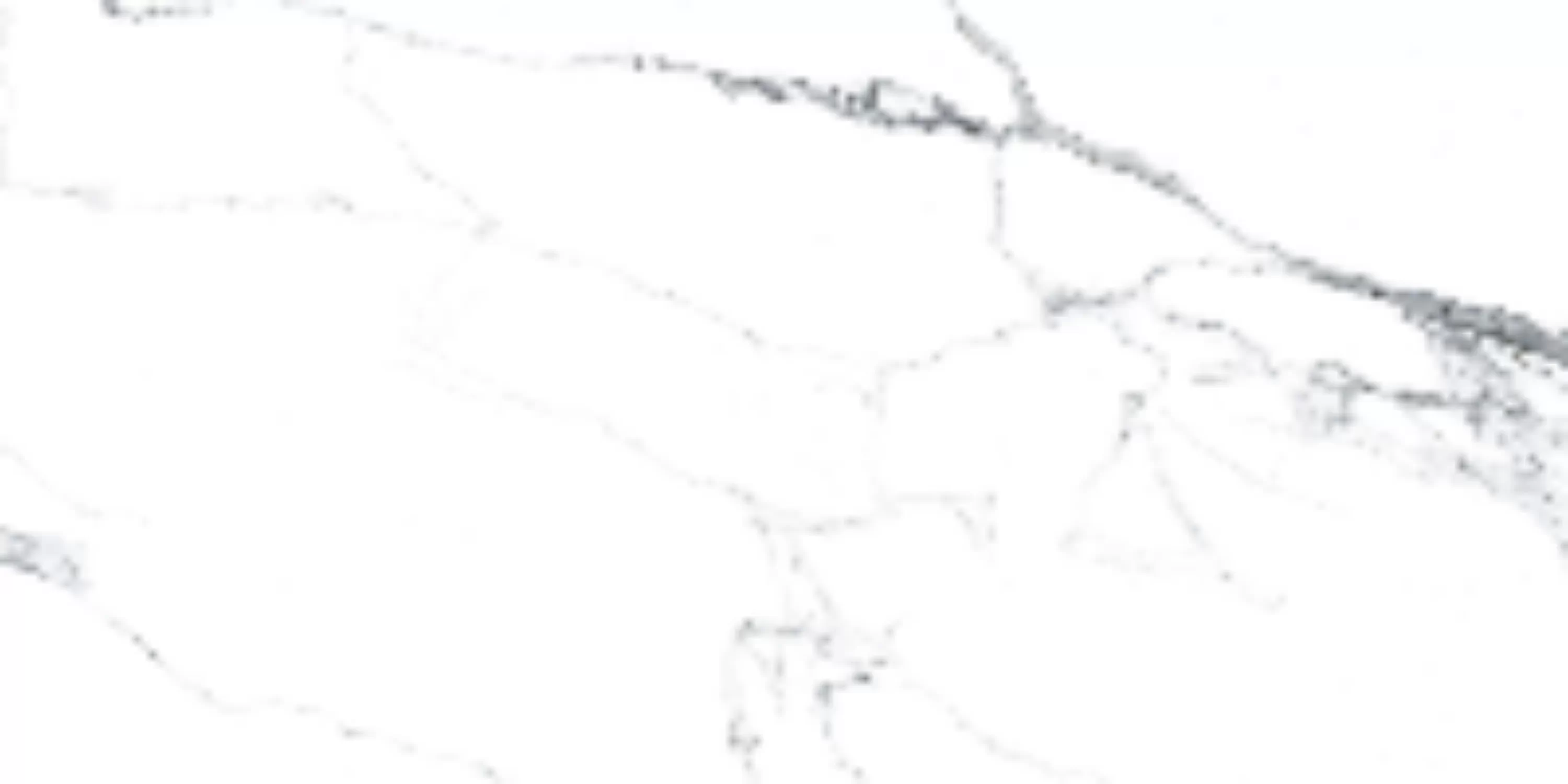Керамогранит Statuariett White Pulido 60x120