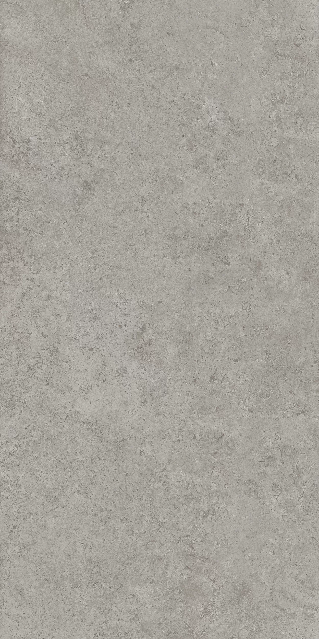 Керамогранит DD590600R Про Лаймстоун АТ серый натуральный обрезной R10 119,5х238,5