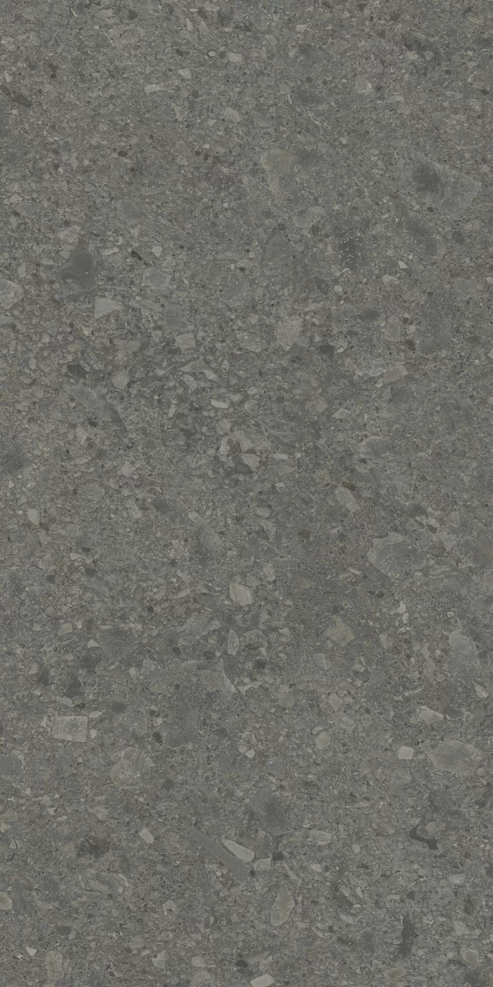 Керамогранит DD591620R Чеппо ди Гре антрацит матовый обрезной 119,5x238,5x0,9