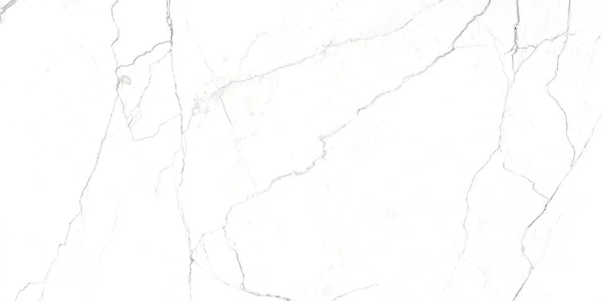 Керамогранит G391 Neiva Elegant MR 60x120