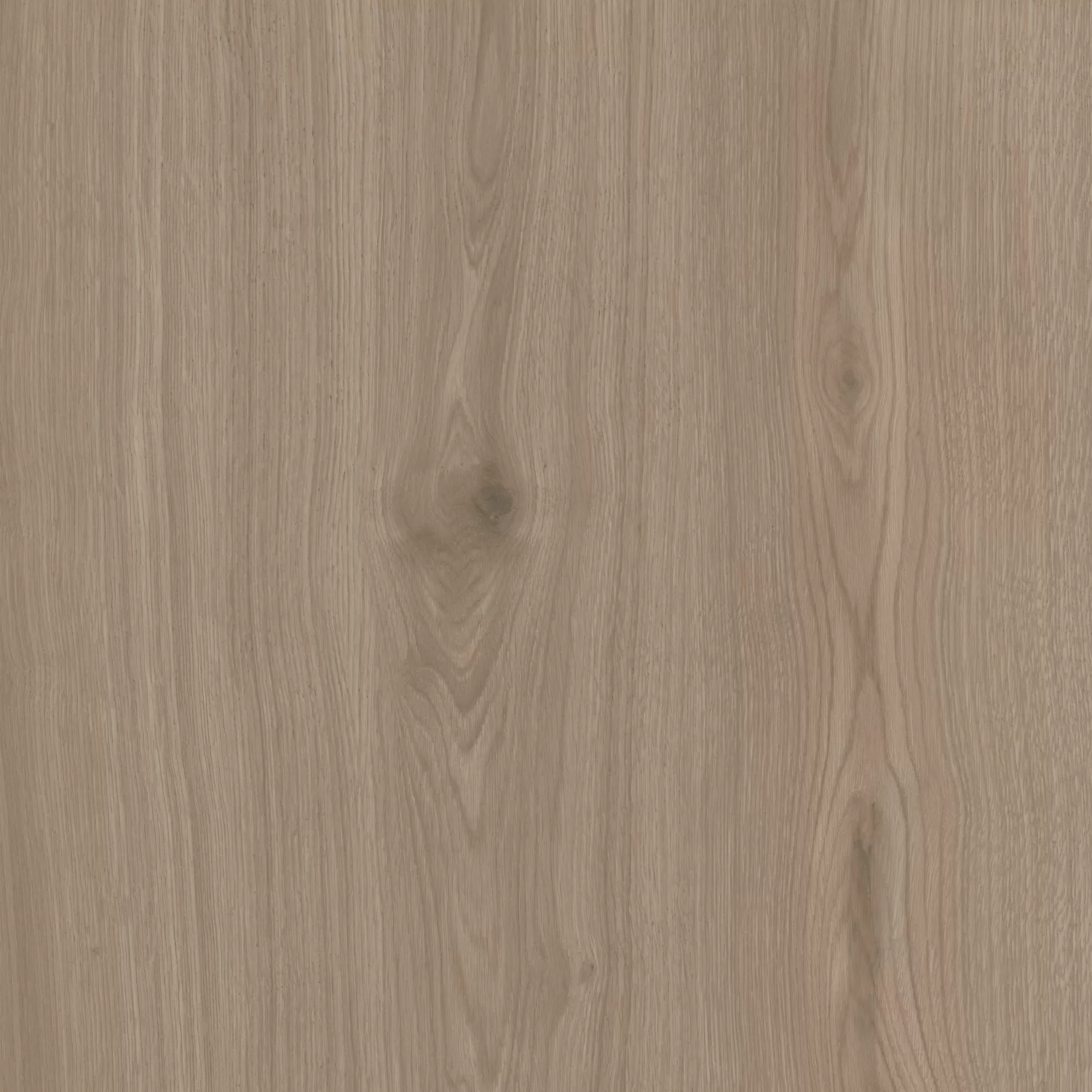 Керамогранит SG643820R Альберони коричневый светлый матовый обрезной 60x60x0,9