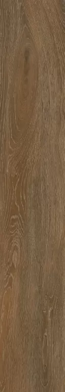 Керамогранит FR05 Forest Ocher неполированный 19,4х120