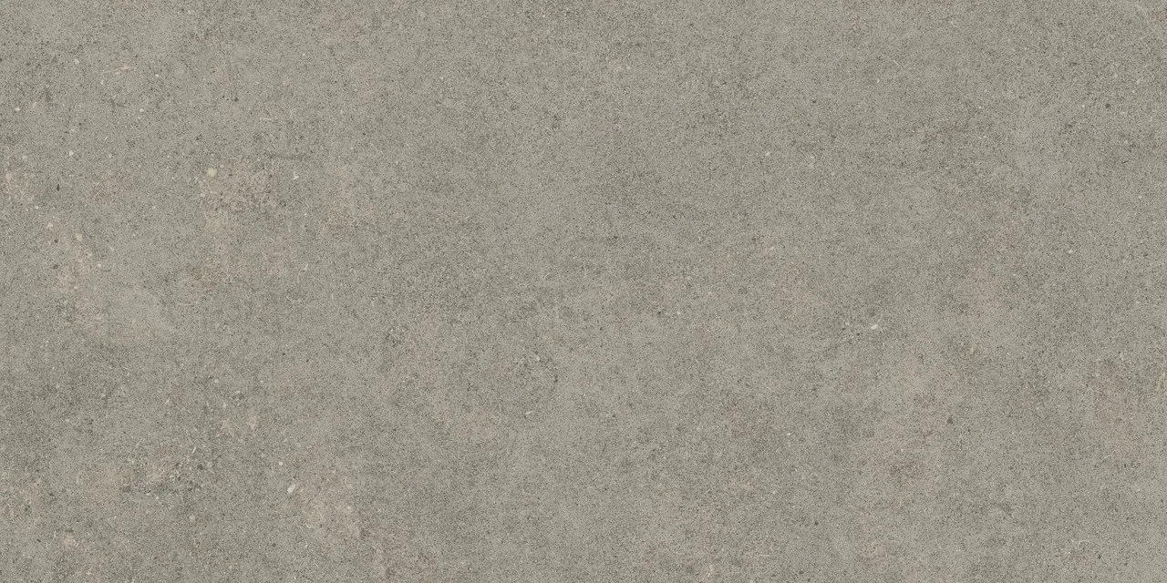 Керамогранит 610010005821 Forte dei Marmi Rock Lunar Grey Matt Rett 60x120