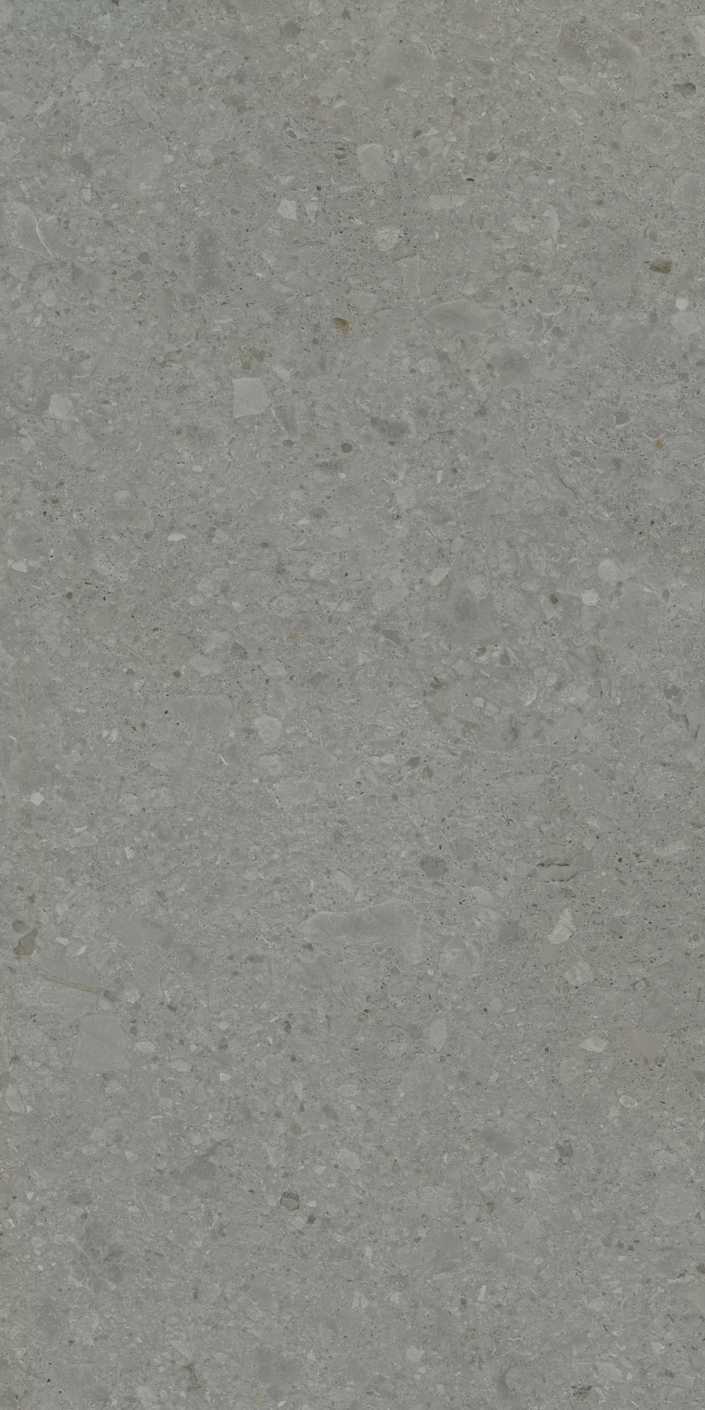 Керамогранит DD591520R Чеппо ди Гре серый тёмный матовый обрезной 119,5x238,5x0,9