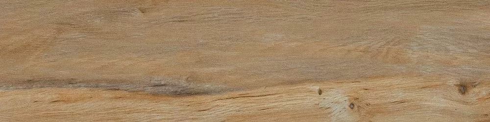Керамогранит Leccio Classico 10x40