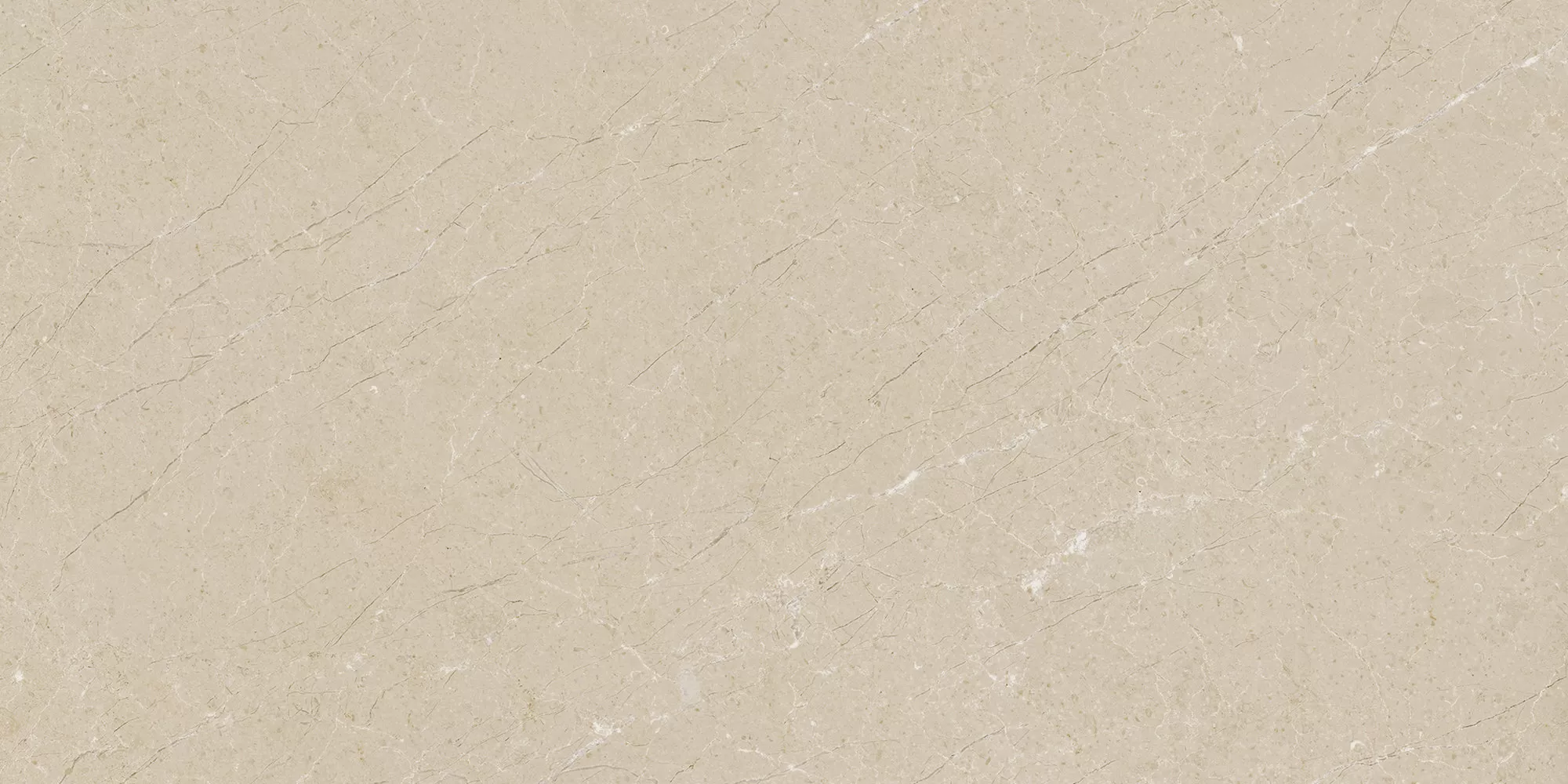 Керамогранит 28483 Pav. Alpine beige ho 60*120