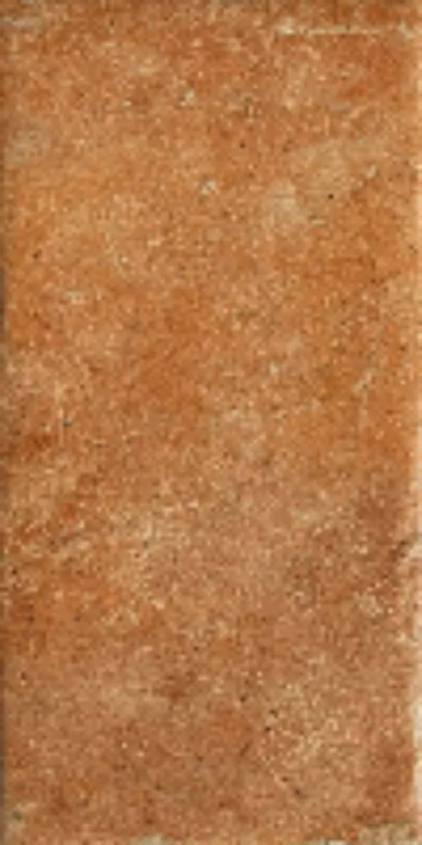 Керамогранит 1080484 Cotto Del Campiano Cotto Dorato 20x40