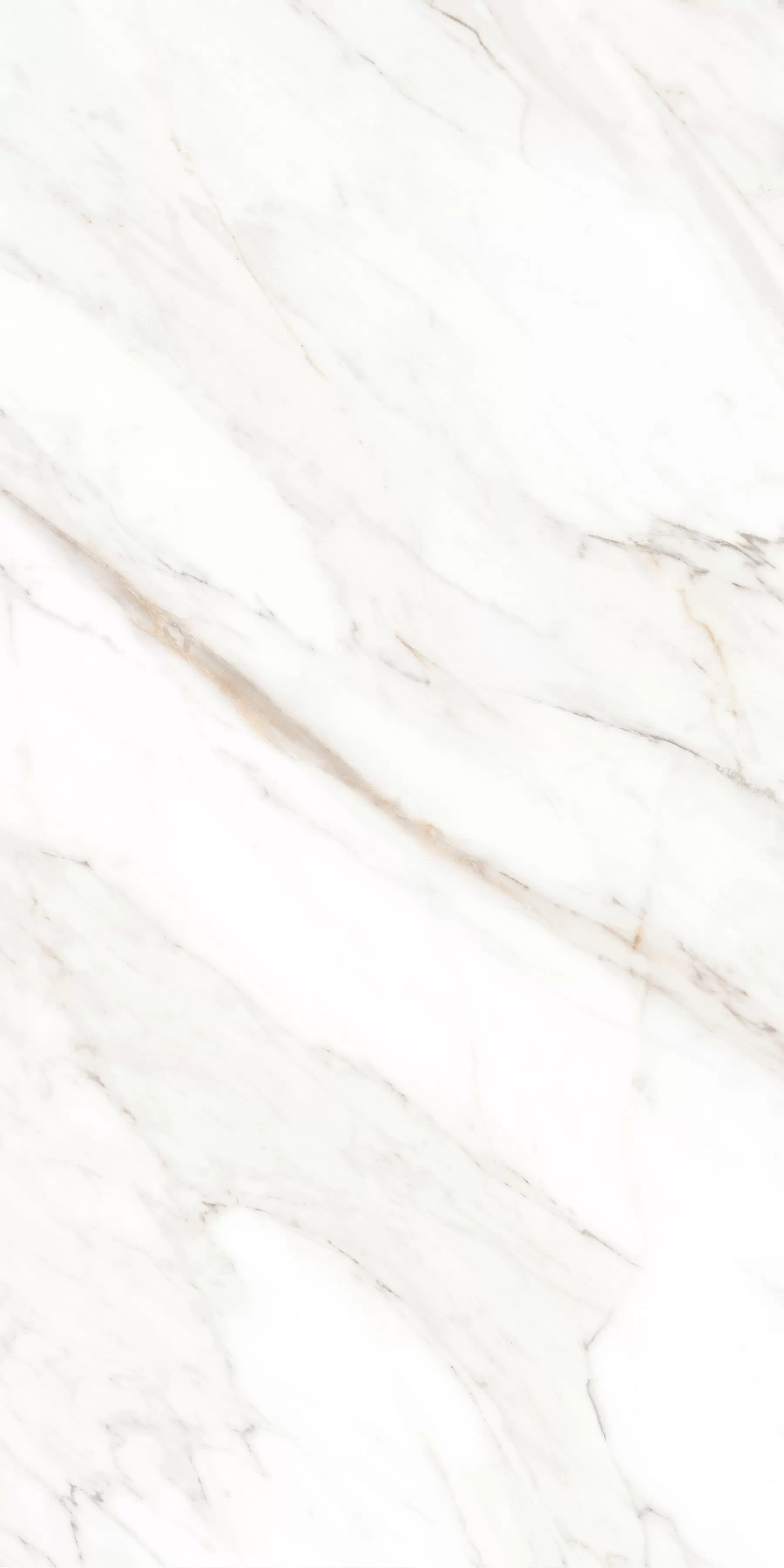 Керамогранит MPL-058630 Calacatta Gold Satin 60x120