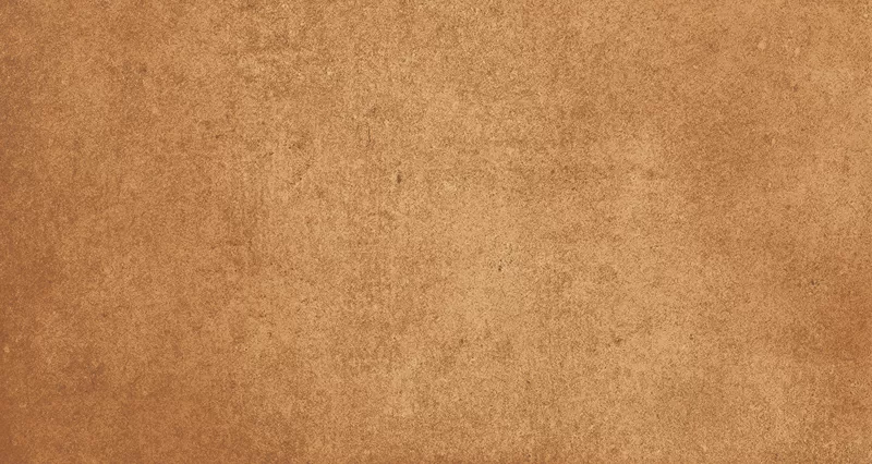 Клинкерная плитка Loseta Gobi 310x150x14