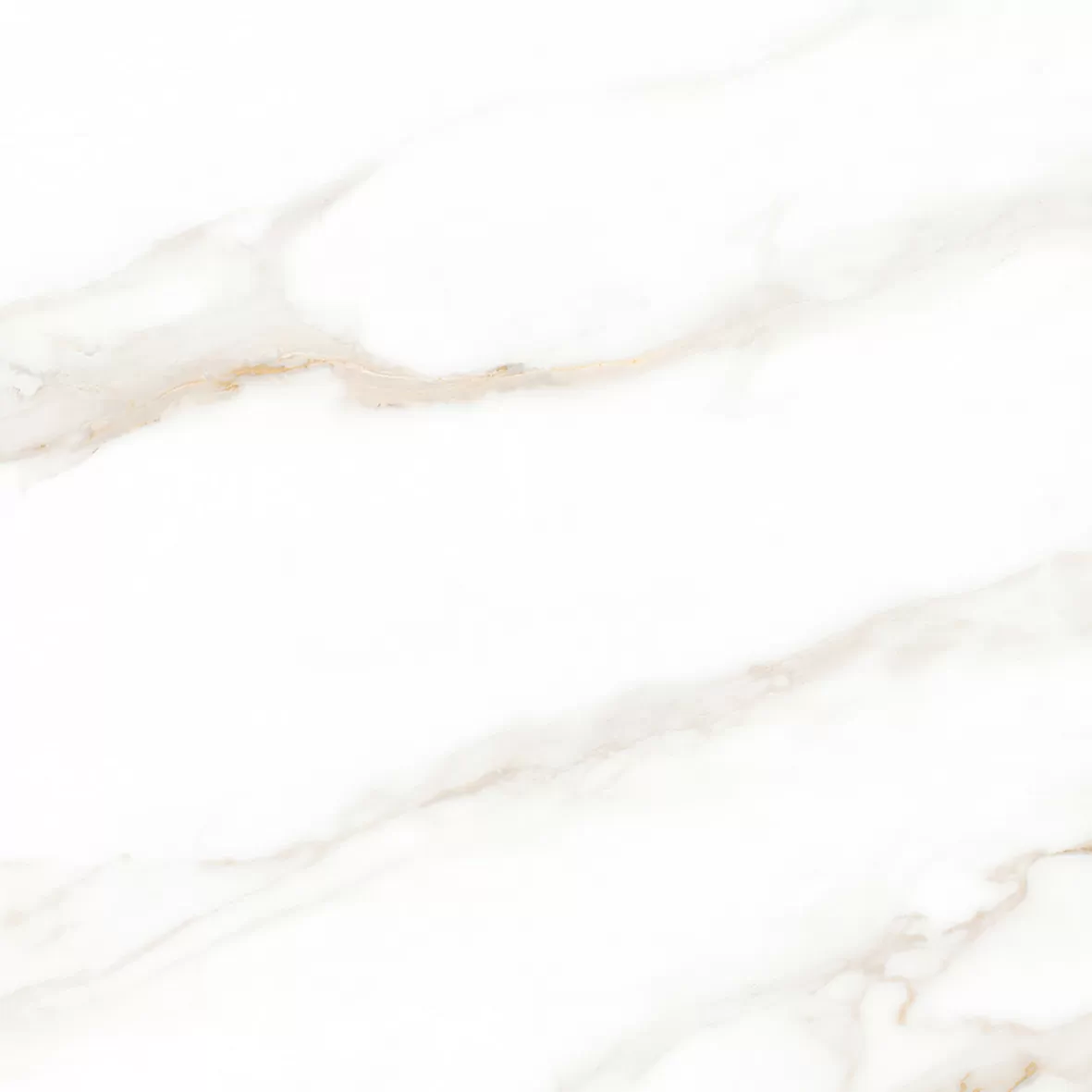 Керамогранит Calacatta Regal Gold Белый Матовый 80х80