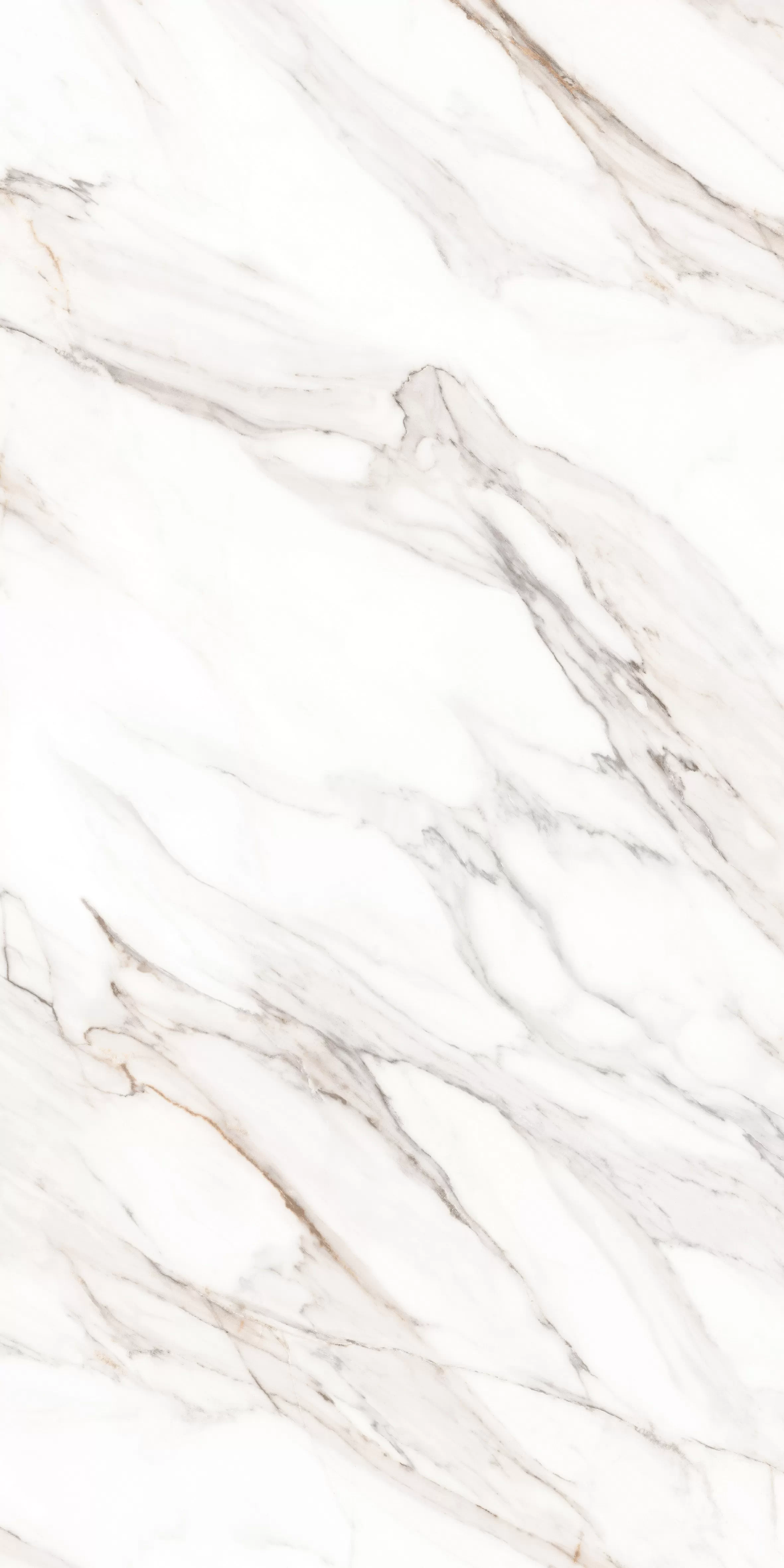 Керамогранит MPL-058640 Calacatta Gold Polished 80x160